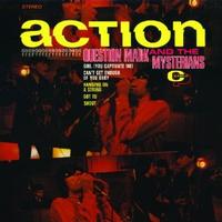 Action ~ LP x1 45rpm 180g