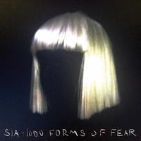 1000 Forms Of Fear ~ LP x1