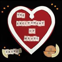 The Excitement Of Maybe ~ LP x1