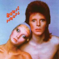 PinUps ~ LP x1 180g