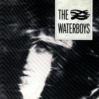 The Waterboys ~ LP x1 180g