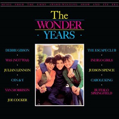 The Wonder Years ~ LP x1 180g