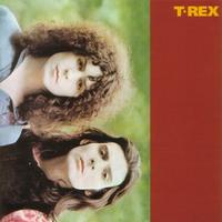 T. Rex ~ LP x2 180g