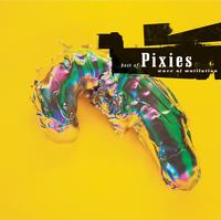 Wave Of Mutilation: The Best Of The Pixies ~ LP x2